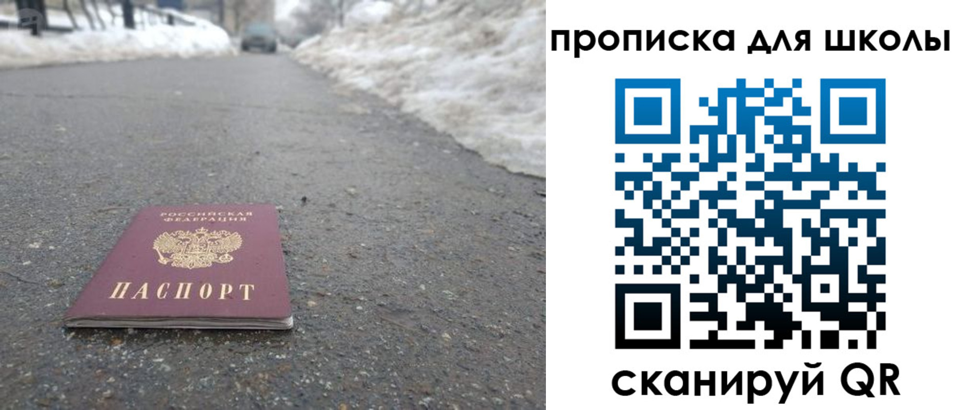 прописка для школы в Снежногорске